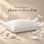 Duo d'Oreillers Duvet d'Oie Premium