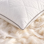 Duo d'Oreillers Duvet d'Oie Premium