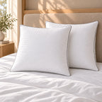 Duo d'Oreillers Duvet d'Oie Premium